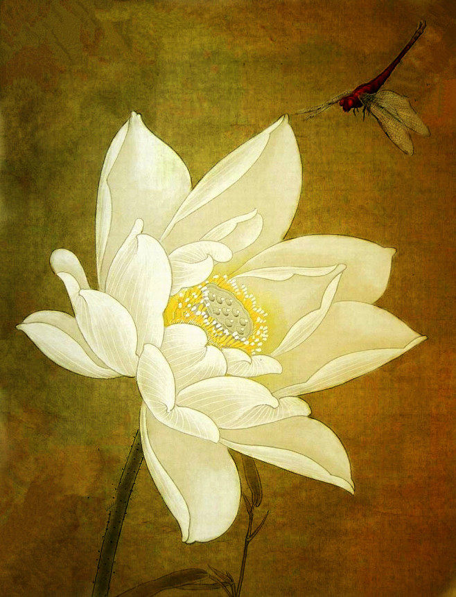 上百个基佬的原创清香白莲