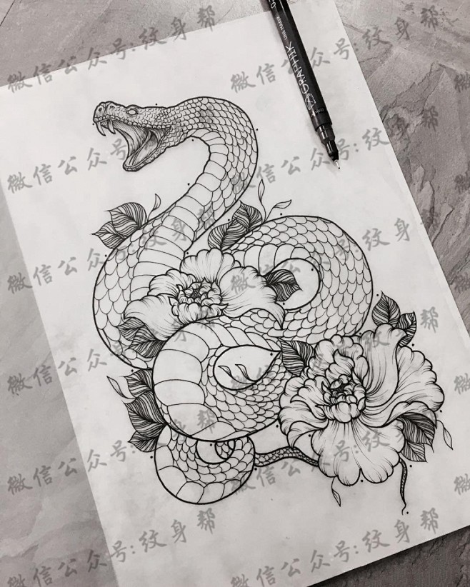 蛇素描画图片大全图片图片