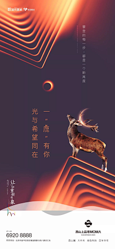 强永前采集到线性