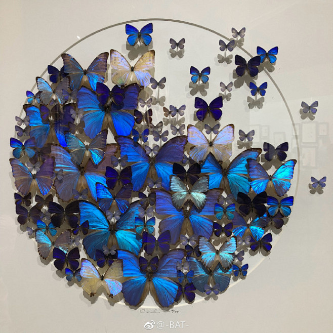 今日份的快乐拾野自然博物馆传送门christophermarley676767