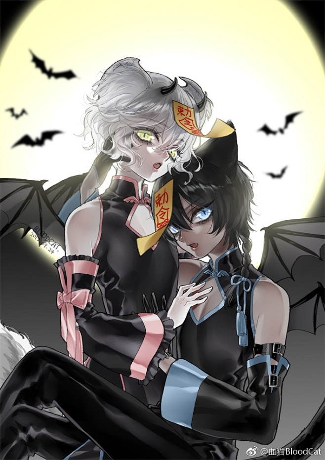 血猫bloodcat的微博微博