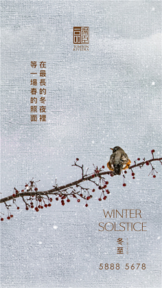 棉大花儿采集到汤臣一品合集