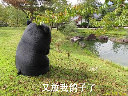 又放我鸽子了熊本熊表情包