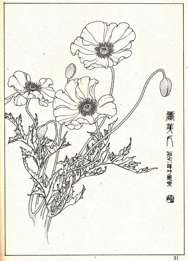 花卉線描資料,《白描花卉》