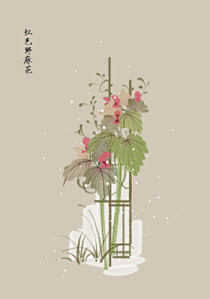 芍药居一霸采集到不知道叫啥名