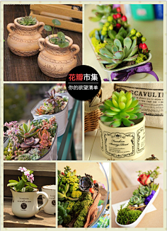 花瓣采集到花瓣礼物 让天下没有难挑的礼物
