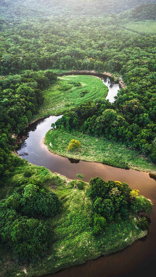 刚果雨林和亚马逊雨林图片