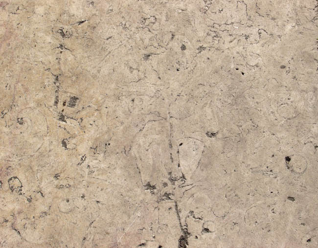 材质贴图园林景观规划总平面图铺装材质贴图ps彩平后期渲染素材淘宝网