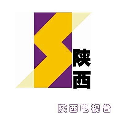 陕西电视台的标志是以黄色"s"变形,蓝色.