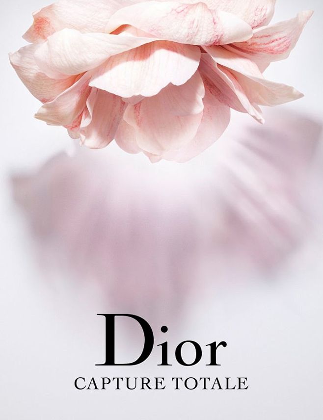 dior /