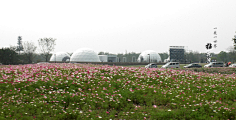 flora小六采集到无锡禅意小镇拈花湾