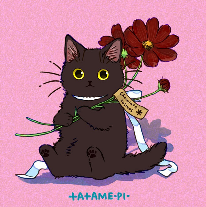 猫咪头像图源twittertatamepi