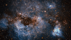 HaleyComet采集到星月夜