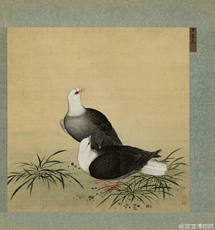 秋日话缤纷清代画家蒋廷锡的鹁鸽谱每开分左右画页各绘一对在田野中