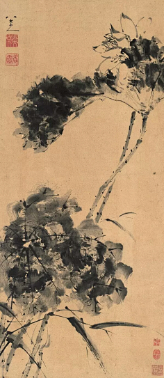 二维空间82829采集到传统书画