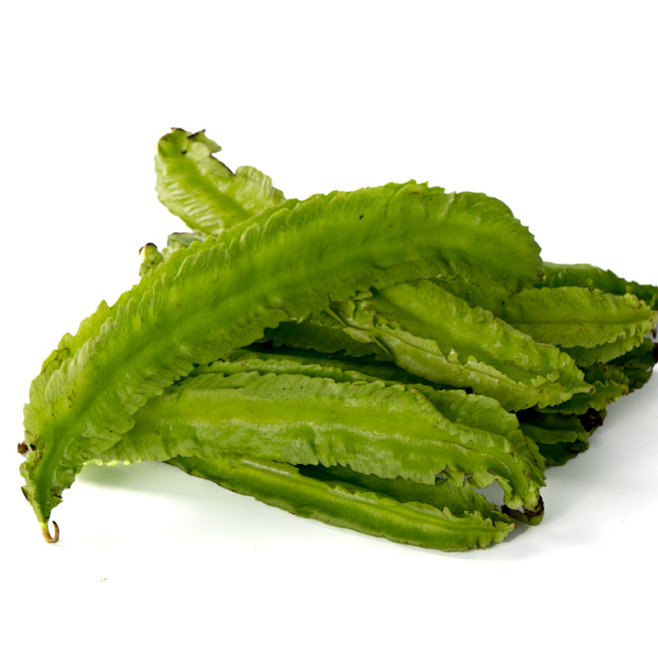 龙豆 花瓣网