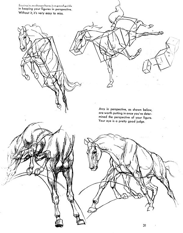 动物的画法日本漫画手绘技法经典教程速写画法零基础学画漫画素淘宝网