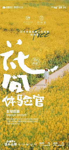 FATTOOC采集到文旅