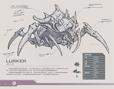 Arya_1采集到设定与介绍
