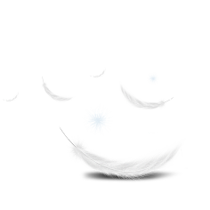 yki采集到素材