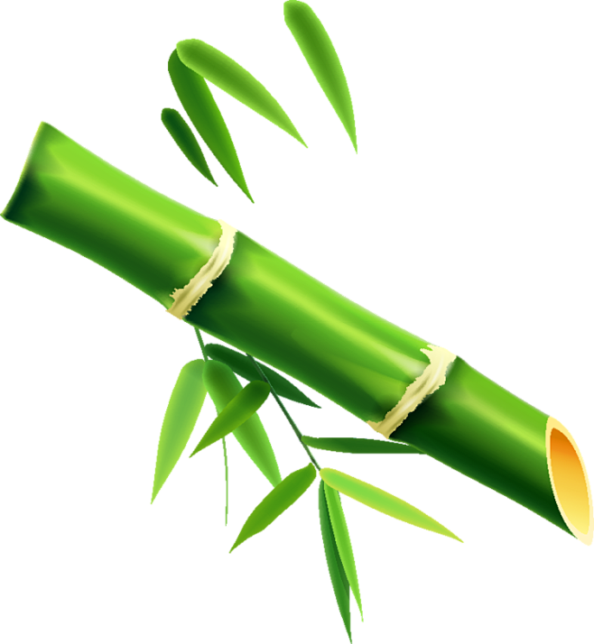 绿竹(绿竹别其三分景,红梅正报万家春)