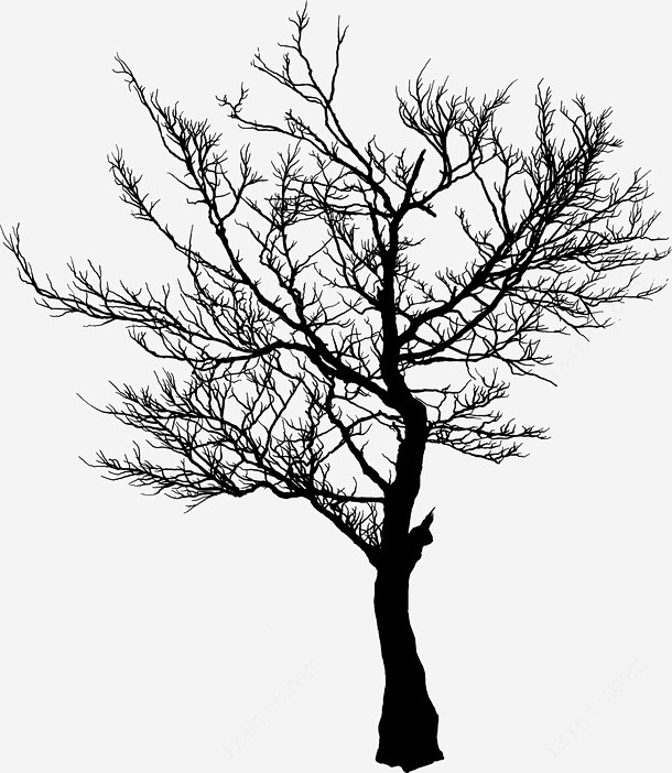 冬季枯树免抠png素材新图网ixintucom