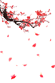 夸后天采集到png