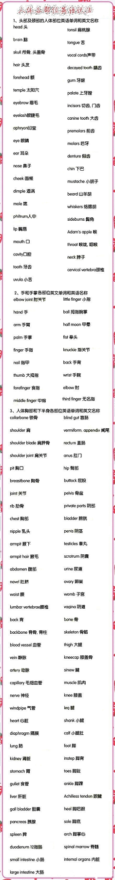 大眼仔采集到积累知识