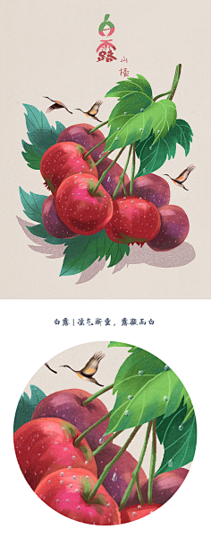 猫与婵采集到猫婵原创插画集