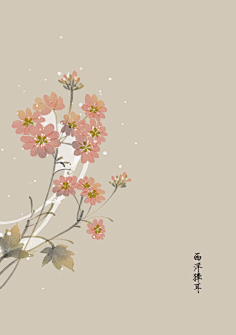 芍药居一霸采集到不知道叫啥名