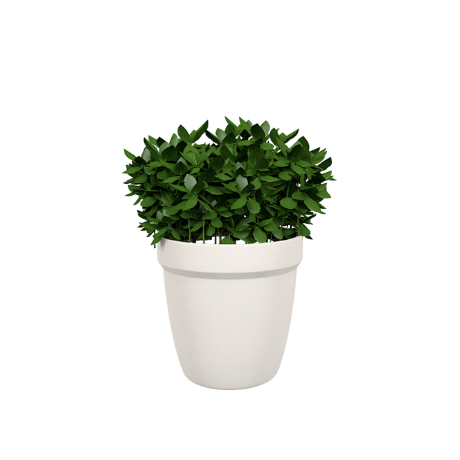 绿色植物盆栽 花盆 花 植物png