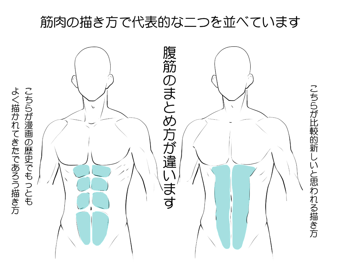 男の上半身を描く 腹筋の描き方 1