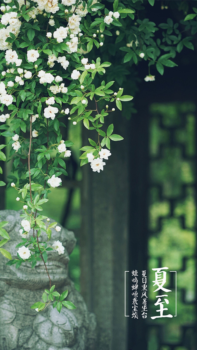 All_Into_Ashes采集到背景丶素材