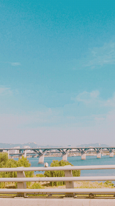 宁馨郁金香采集到风景这边独好