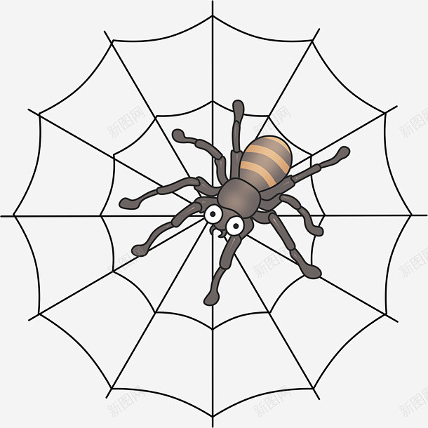 蜘蛛蛛网动物卡通创意素材