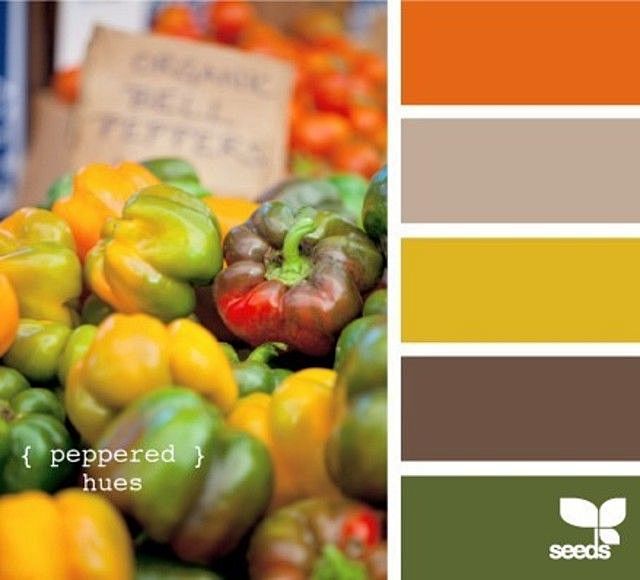 Blurb ebook: Design Seeds