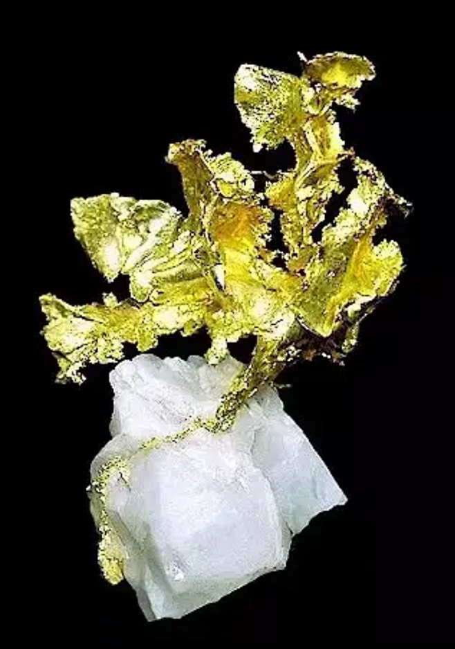 趣浅从a-3转采于2021-02-25 18:44:00金矿石c-材质-宝石趣浅该采集也