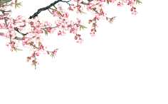 歆昕湘兮采集到合成素材