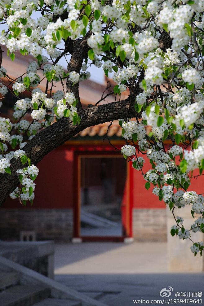 南书房-花瓣网|陪你做生活的设计师 | 书的阶梯