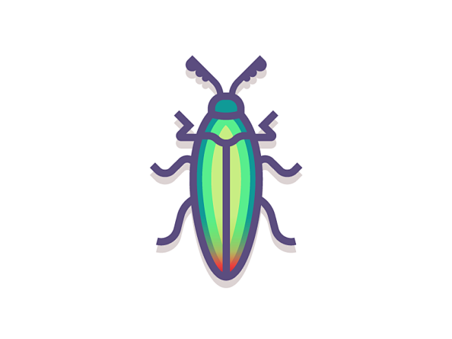 jewel beetle (197/36.
