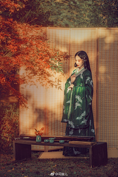 人魚小英采集到穿越——从秦时明月到长乐未央