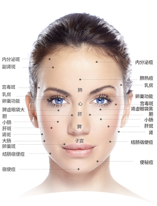 面部斑点图解 分析图片