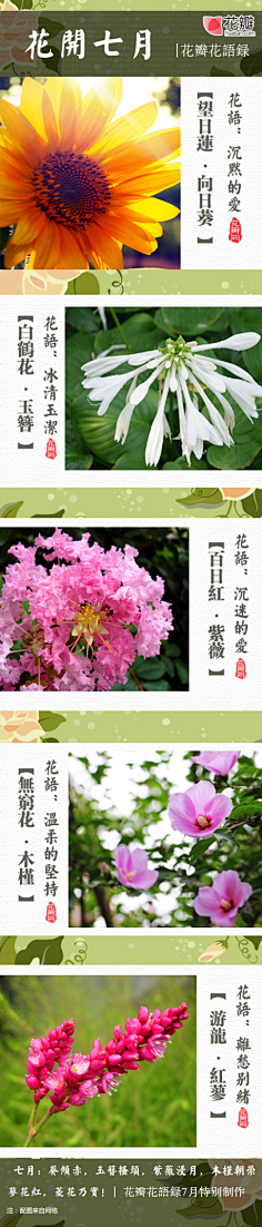 努力变靠谱采集到花
