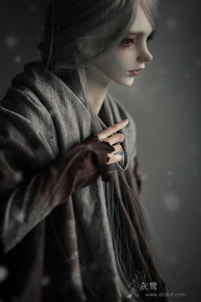 现货dollzonedz灰鹭美少年三分男全套原创官方正版bjd娃娃sd人偶淘宝
