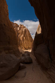 景-花瓣网|陪你做生活的设计师 | bove the french alps - in focus