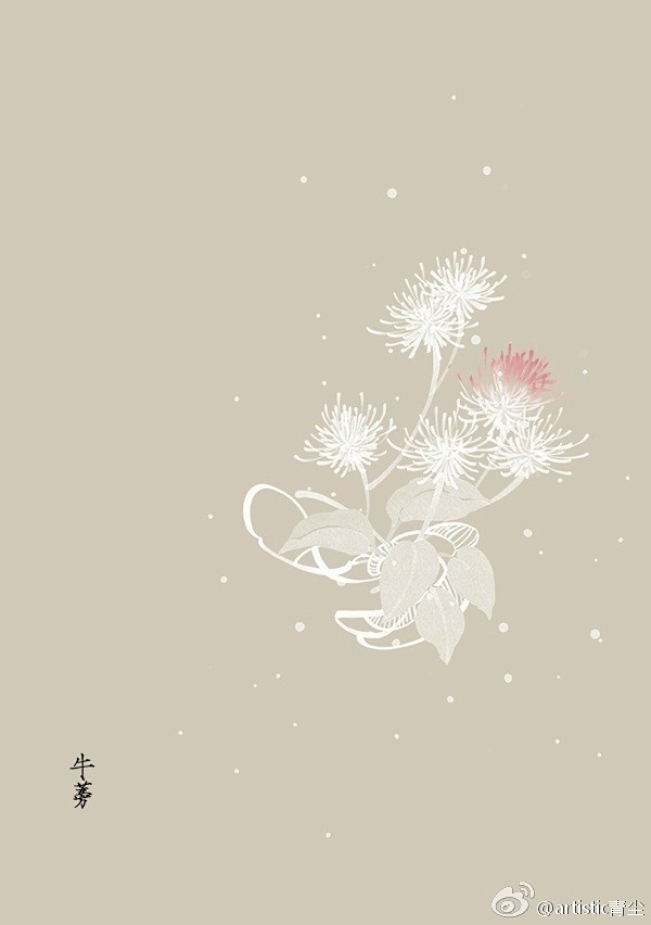 365天生日花 3月29日牛蒡 Burdock 花语 烦扰