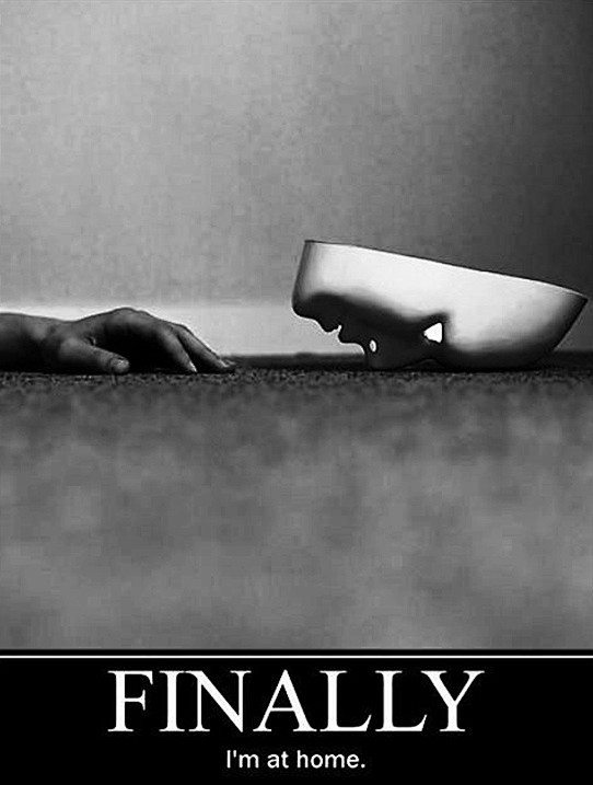 论生存的痛苦和虚无--这样，一个人的一生总的来说，就是被希望所愚弄以后，一头扎了人死亡的怀里。-存档灵魂