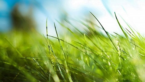 艺术风景[480x272]