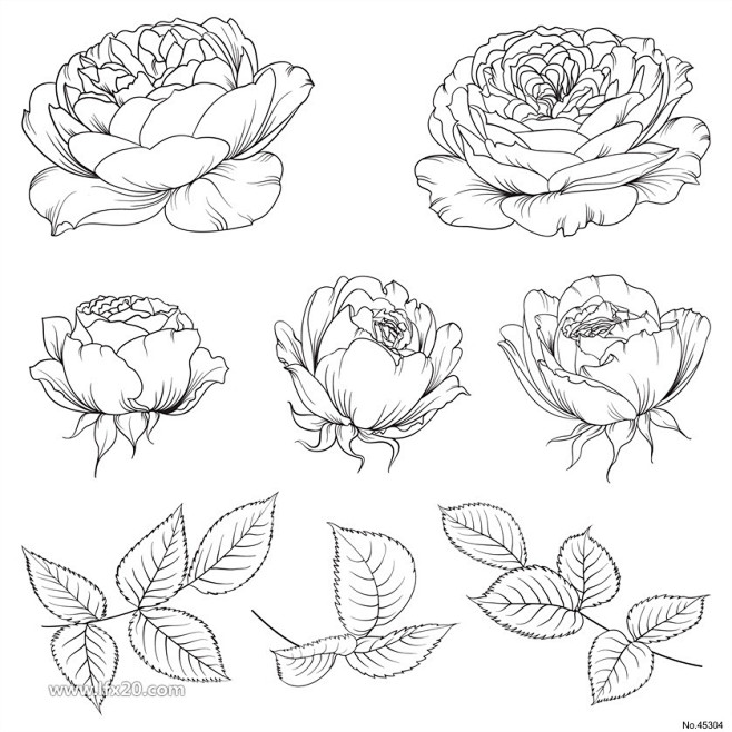 优雅黑白镂空线描花卉花鸟花朵树叶子eps矢量素材vip素材乐分享素材网