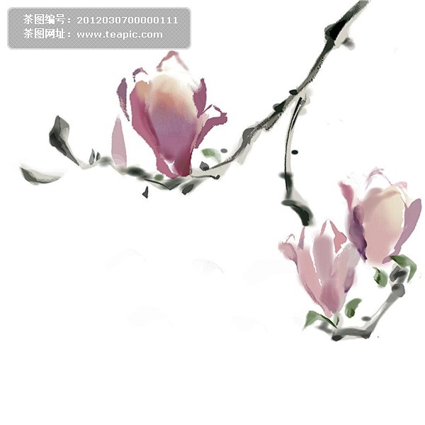 国画水墨花素材 中国风 水墨画 花朵 枝条